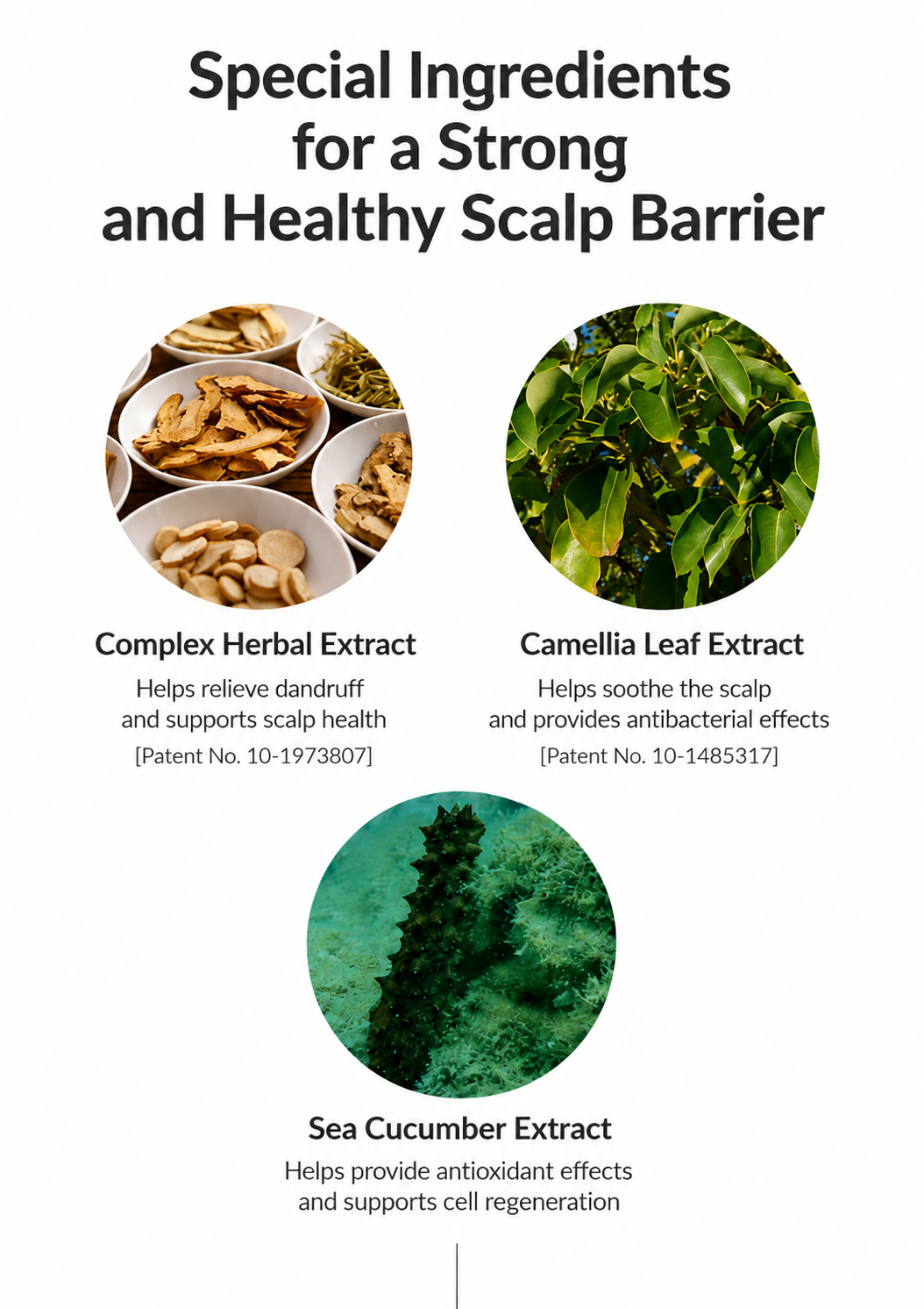 EHPlus Marine Scalp Essence 100ml