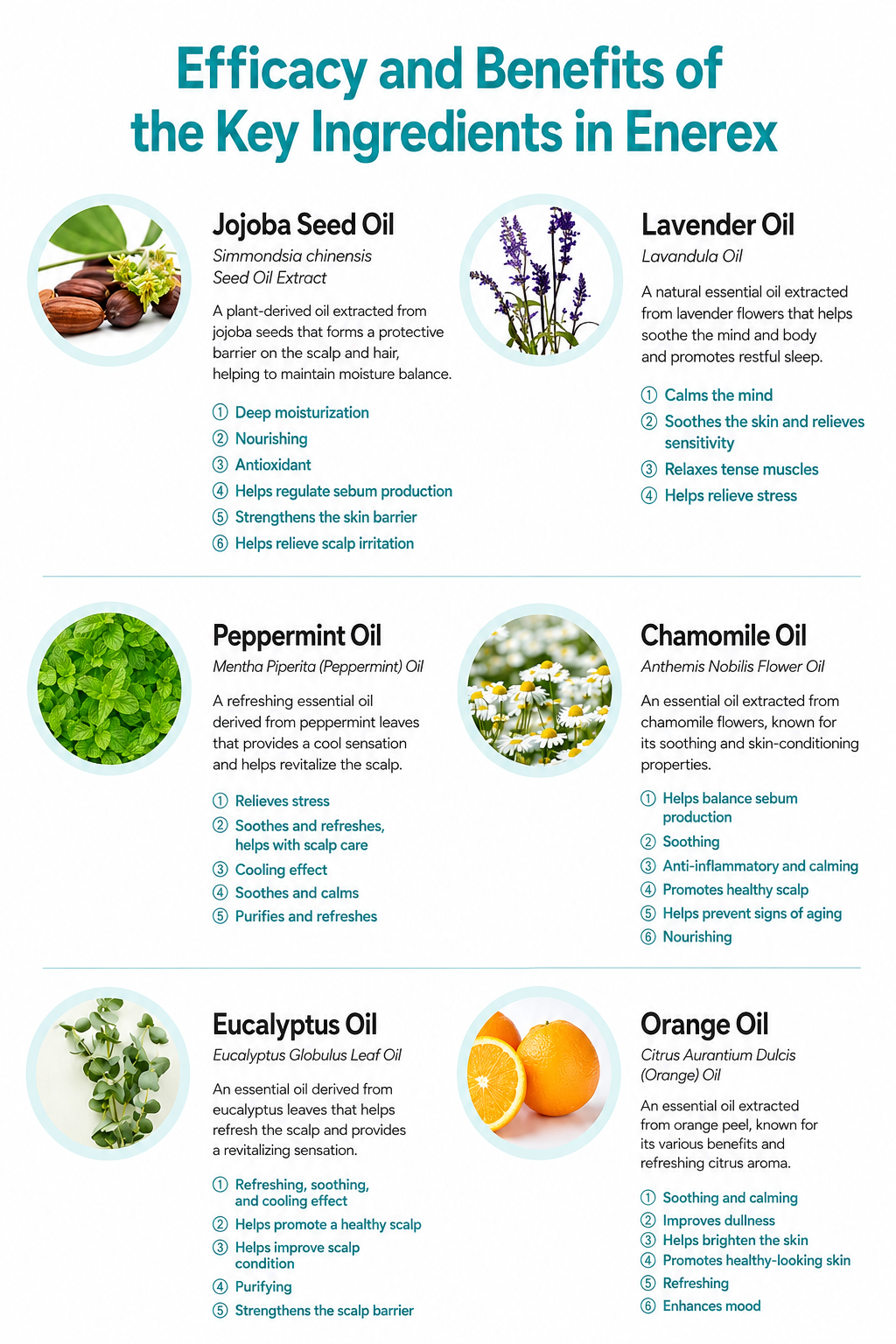 EHPlus Enerlax Aroma Oil