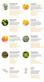 EHPlus Enertox Aroma Oil