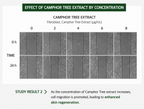 EHPlus Champhor Tree Treatment 300ml