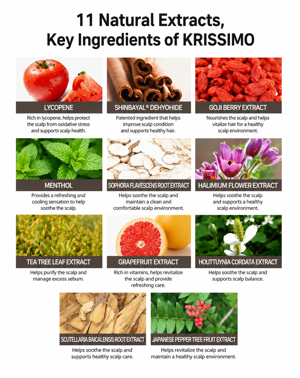 KRISSIMO Scaling Spa Toner 15ml x 2ea