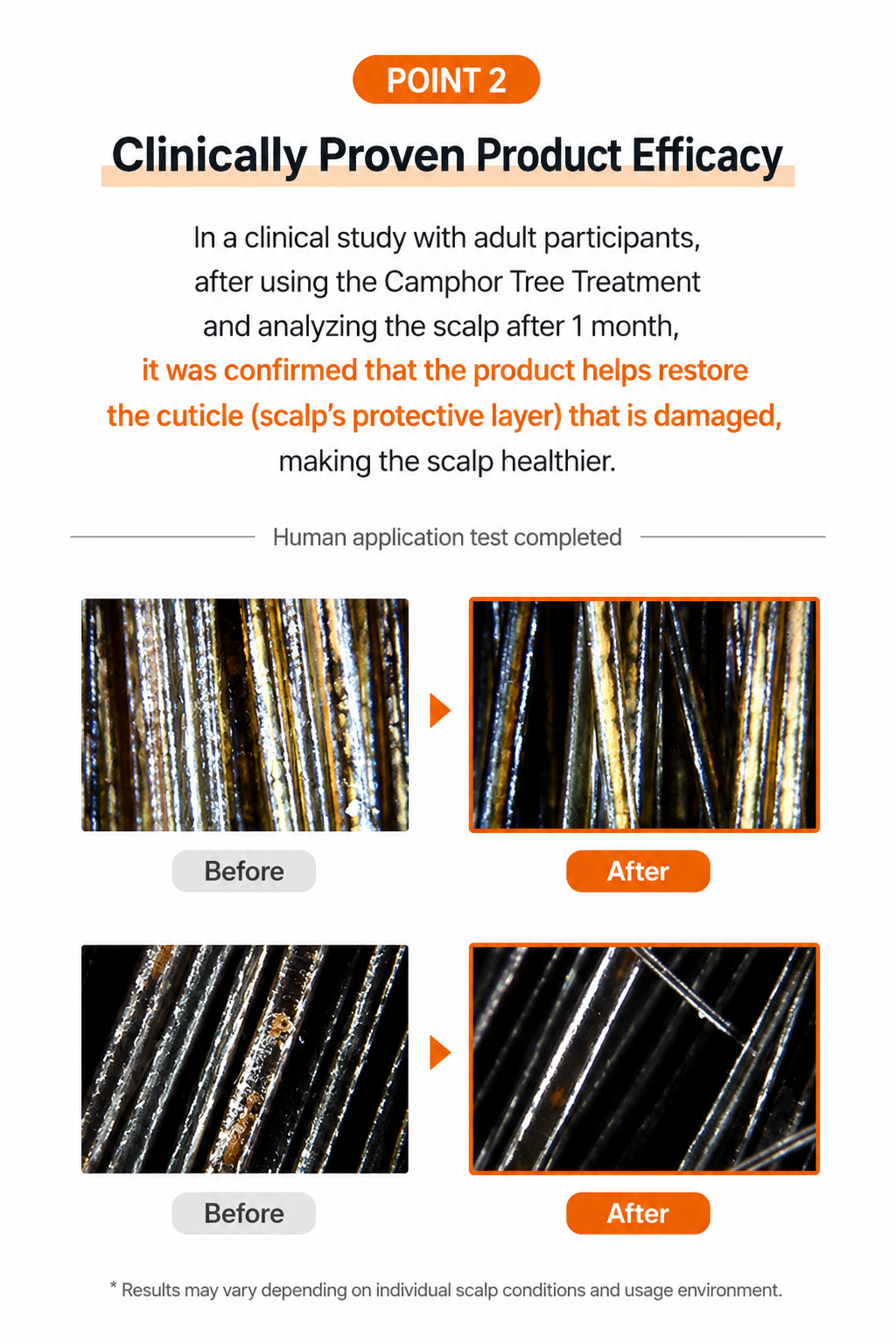 KRISSIMO Camphor Tree Treatment