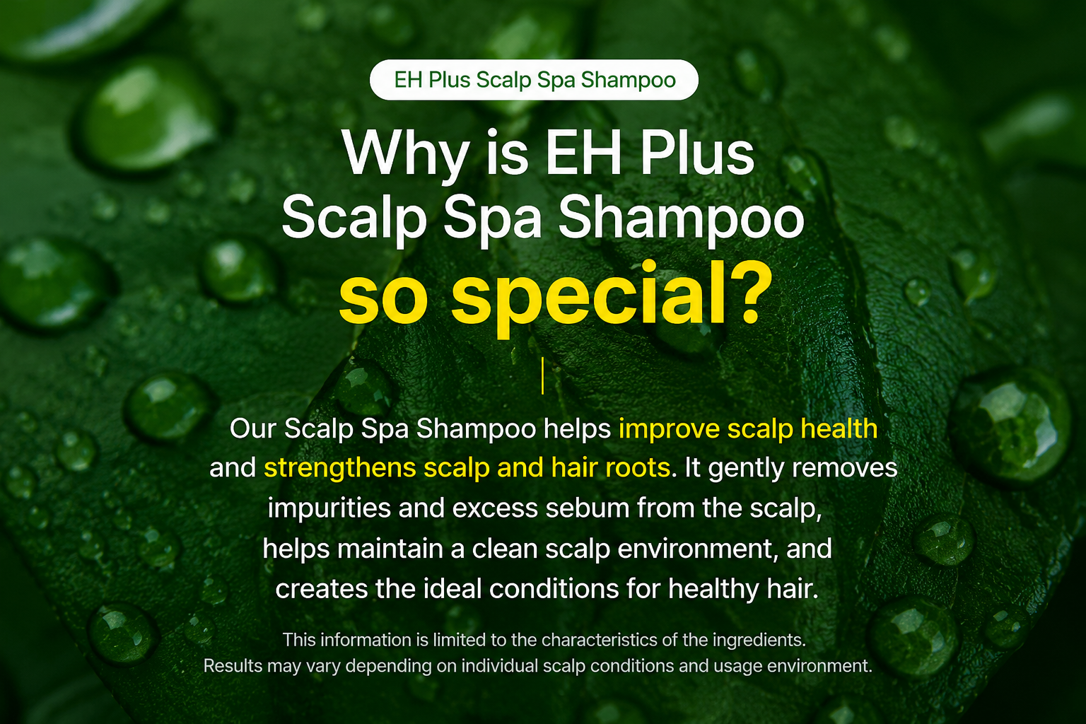 EHPlus Scalp Spa Shampoo 500ml