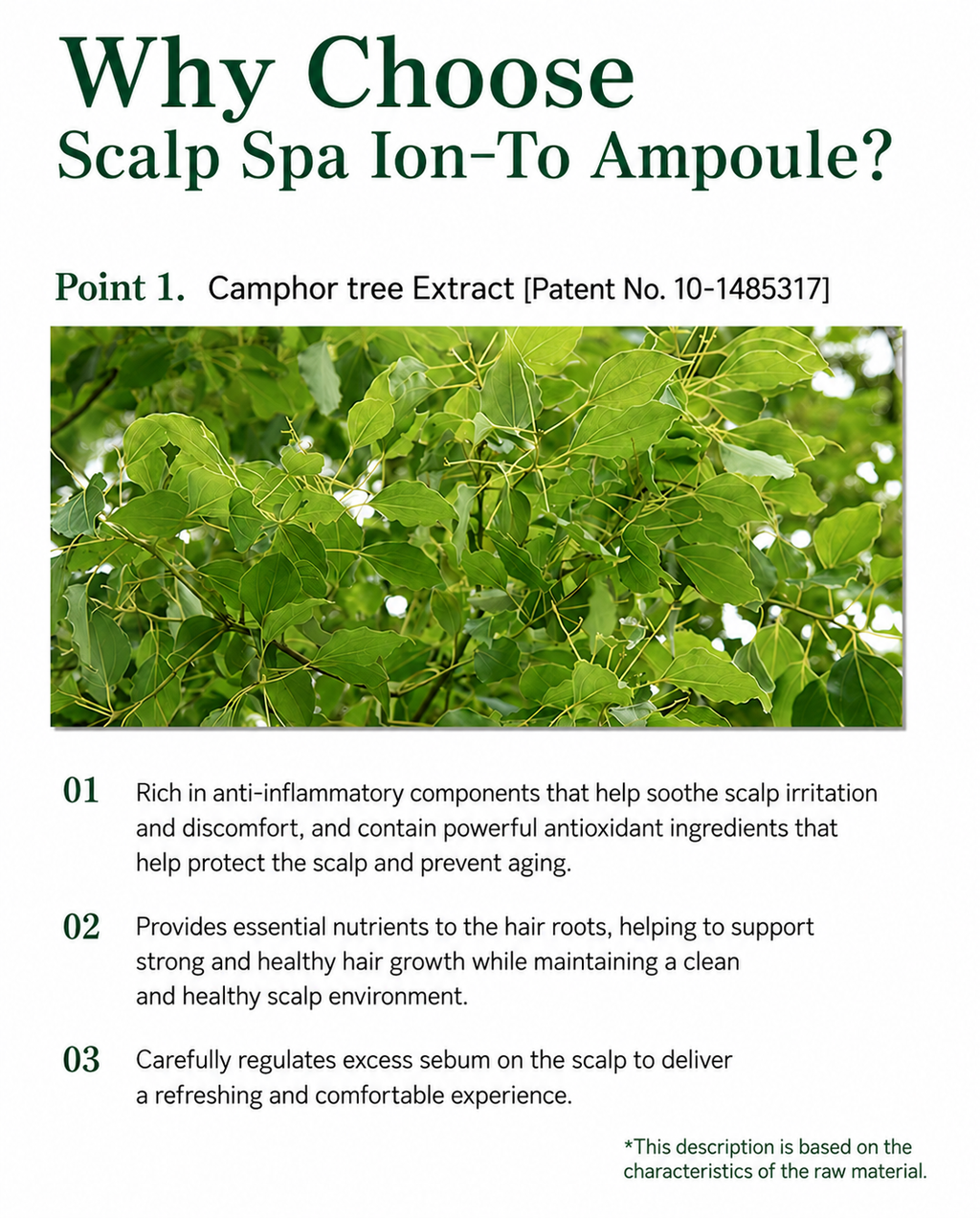 EHPlus Scalp Spa ION-TO DS Ampoule 10ml (1ea / 10ea set)
